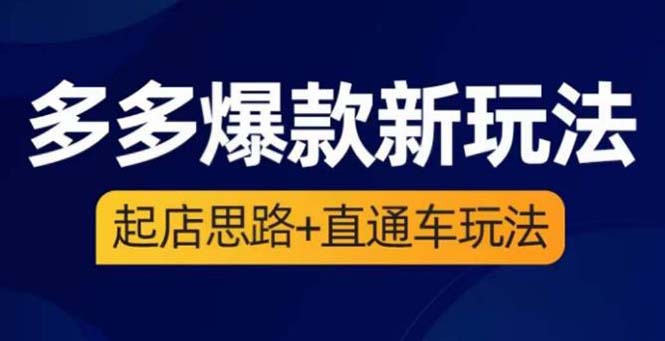 （6028期）2023拼多多爆款·新玩法：起店思路+直通车玩法（3节精华课）(深度解析拼多多2023年爆款新玩法从起店思路到直通车运营技巧)