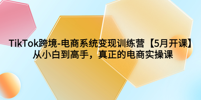 （6058期）TikTok跨境-电商系统变现训练营【5月新课】从小白到高手，真正的电商实操课(全面掌握TikTok跨境电商运营技巧，助您成为电商高手)