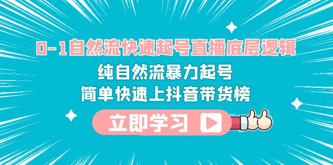 （6138期）0-1自然流快速起号直播 底层逻辑 纯自然流暴力起号 简单快速上抖音带货榜(深入解析抖音直播带货从零基础到精通的实战课程)