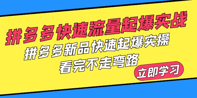 （6253期）拼多多-快速流量起爆实战，拼多多新品快速起爆实操，看完不走弯路(拼多多快速流量起爆与新品推广实操指南)