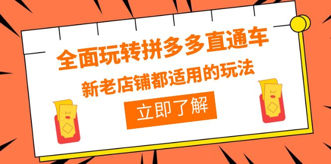 （6294期）全面玩转拼多多直通车，新老店铺都适用的玩法（12节精华课）(全面掌握拼多多直通车运营技巧，实现盈利增长)