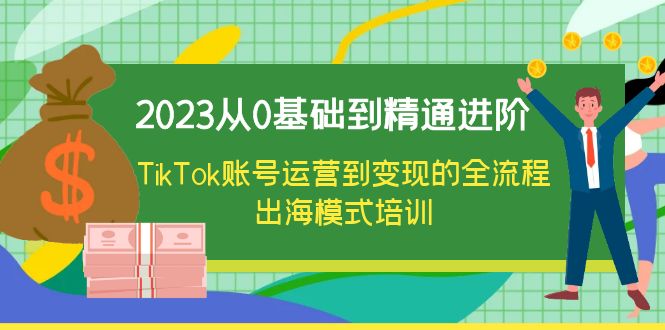 （6299期）2023从0基础到精通进阶，TikTok账号运营到变现的全流程出海模式培训(全面掌握TikTok账号运营与变现技巧，实现出海模式的全流程运营)