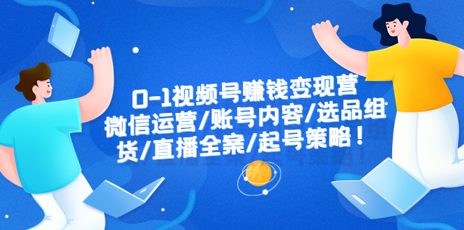 （6340期）0-1视频号赚钱变现营：微信运营-账号内容-选品组货-直播全案-起号策略！(全面解析视频号赚钱变现营的策略与技巧)