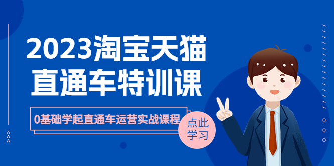 （6405期）2023淘宝·天猫直通车评特训课，0基础学起直通车运营实战课程（8节课时）(全面解析淘宝·天猫直通车运营实战技巧，助力店铺流量与销售双提升)