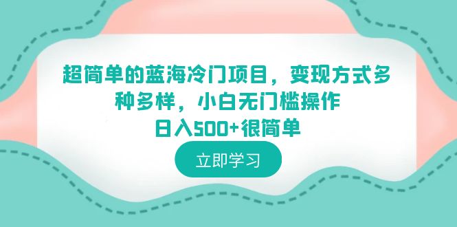 （6422期）超简单的蓝海冷门项目，变现方式多种多样，小白无门槛操作日入500+很简单(超简单蓝海冷门项目小白无门槛操作，日入500+)