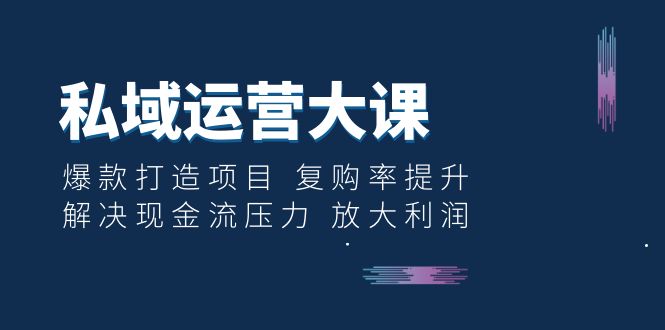 （6455期）私域运营大课：爆款打造项目 复购率提升 解决现金流压力 放大利润(掌握私域运营秘诀，实现爆款打造与利润最大化)