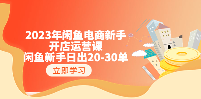 （6470期）2023年闲鱼电商新手开店运营课：闲鱼新手日出20-30单（18节-实战干货）(全面掌握闲鱼电商运营技巧，实现日出20-30单的实战指南)