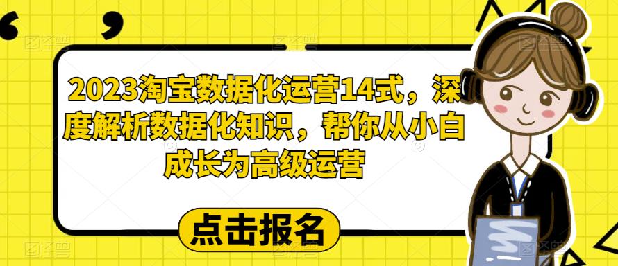 （6475期）2023淘宝数据化-运营 14式，深度解析数据化知识，帮你从小白成长为高级运营(深度解析淘宝数据化运营，助你成为高级运营专家)