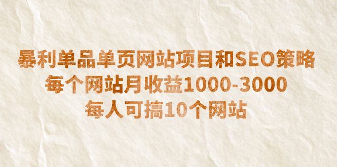 （6503期）暴利单品单页网站项目和SEO策略  每个网站月收益1000-3000  每人可搞10个