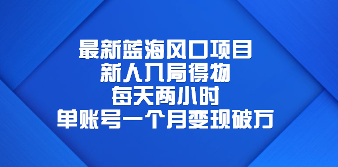 （6514期）最新蓝海风口项目，新人入局得物，每天两小时，单账号一个月变现破万