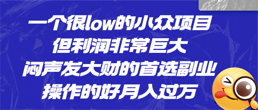 （6601期）一个很low的小众项目，但利润非常巨大，闷声发大财的首选副业，月入过万(“揭秘低门槛高收益的小众项目月入过万只需执行力”)