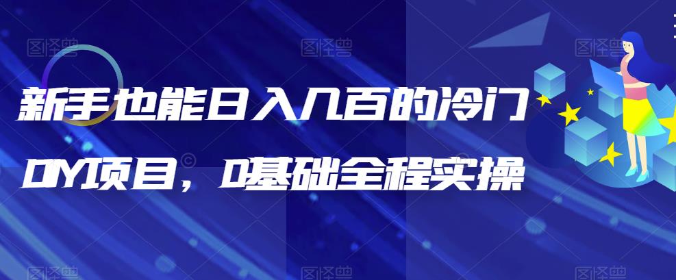 （6630期）新手也能日入几百的冷门DIY项目，0基础全程实操【揭秘】(揭秘新手如何通过冷门DIY项目实现日入几百)