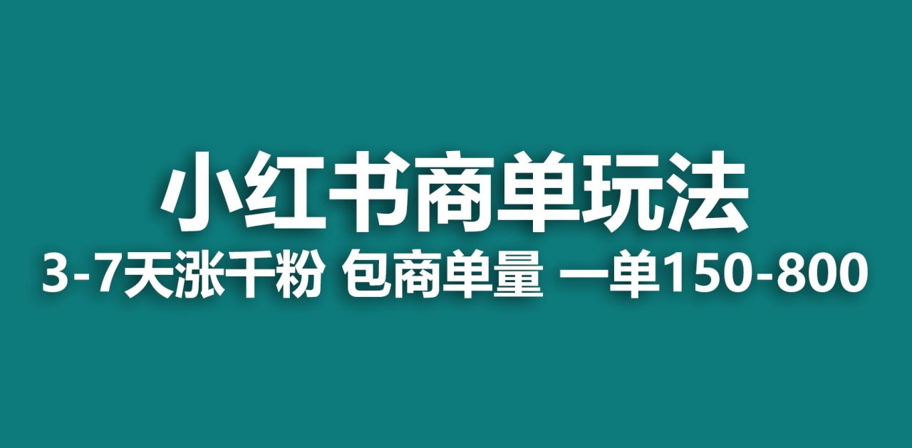 （6698期）小红书商单玩法，一周破千粉，商单接到手软，一单150-800(掌握小红书商单玩法，轻松实现一周破千粉和高额广告收入)