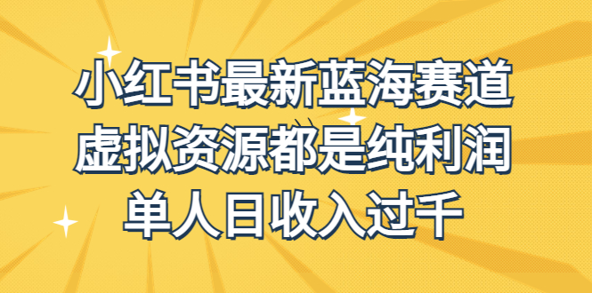 （6721期）外面收费1980的小红书最新蓝海赛道，虚拟资源都是纯利润，单人日收入过千(探索小红书最新蓝海赛道，实现虚拟资源纯利润变现)