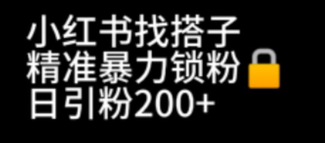 （6807期）小红书找搭子暴力精准锁粉+引流日引200+精准粉(小红书新功能“找搭子”助力精准引流与锁粉)