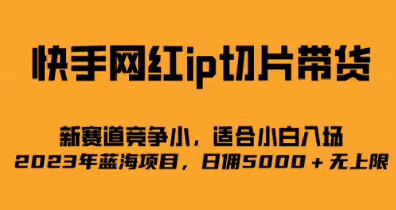 （6832期）快手网红ip切片新赛道，竞争小事，适合小白  2023蓝海项目(探索快手网红IP切片新赛道，抓住2023年蓝海商机)