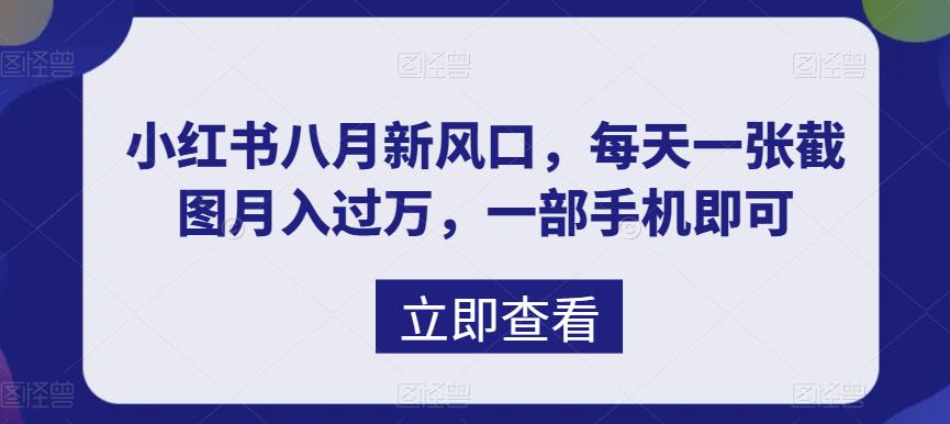 （6851期）八月新风口，小红书虚拟项目一天收入1000+，实战揭秘(揭秘小红书虚拟项目如何利用信息差实现日入1000+)