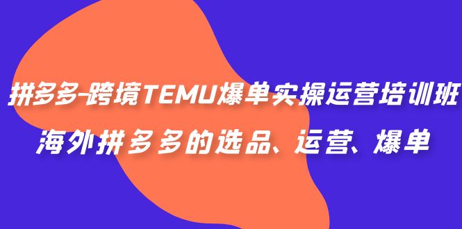 （6934期）拼多多-跨境TEMU爆单实操运营培训班，海外拼多多的选品、运营、爆单(全面解析拼多多跨境TEMU运营策略与技巧)