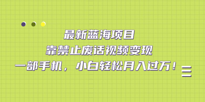 （7276期）最新蓝海项目，靠禁止废话视频变现，一部手机，小白轻松月入过万！(探索“禁止废话”视频系列一部手机，小白也能轻松月入过万！)