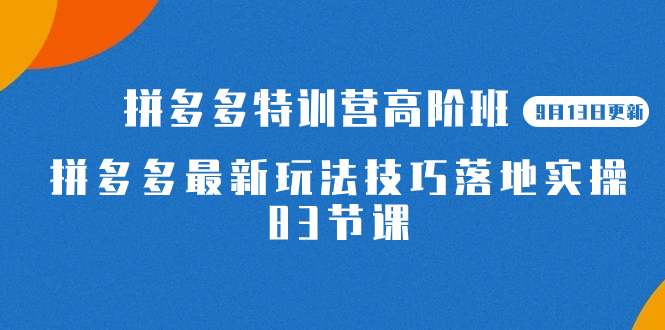 （7295期）2023拼多多·特训营高阶班【9月13日更新】拼多多最新玩法技巧落地实操-83节(深入解析拼多多最新玩法技巧，实战操作指南)