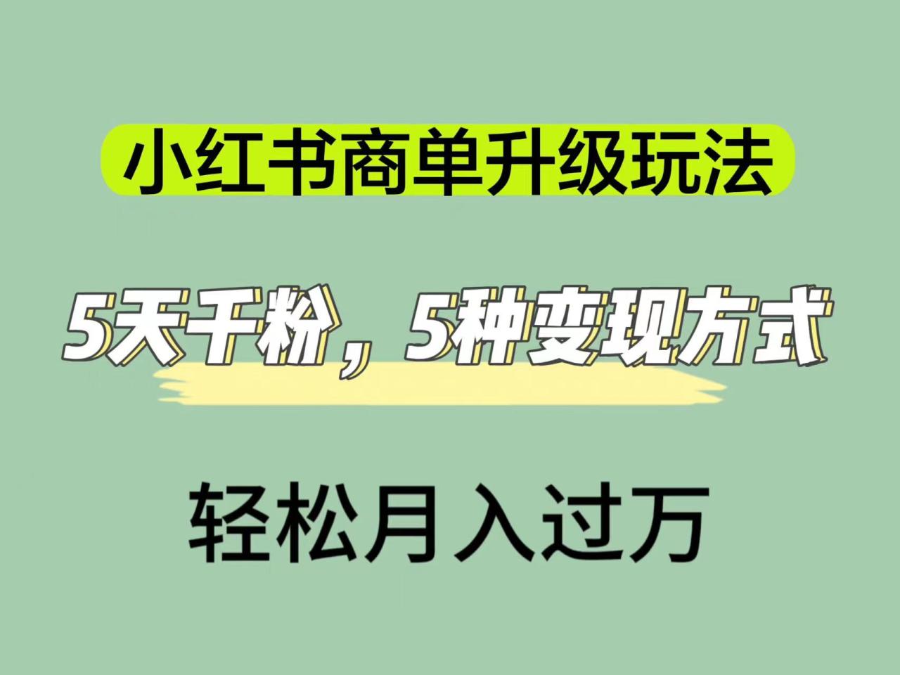 （7312期）小红书商单升级玩法，5天千粉，5种变现渠道，轻松月入1万+(小红书商单升级攻略5天千粉，5种变现渠道助你轻松月入过万)