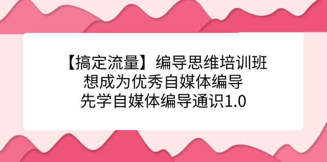 （7281期）【搞定流量】编导思维培训班，想成为优秀自媒体编导先学自媒体编导通识1.0(全面掌握自媒体编导技能，助力打造优质内容)