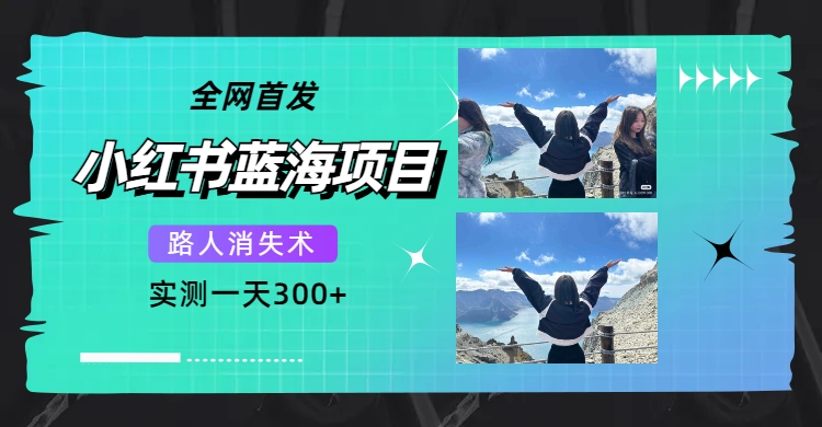 （7537期）全网首发，小红书蓝海项目，路人消失术，实测一天300+（教程+工具）(探索小红书蓝海项目路人消失术助力社交媒体照片美化)