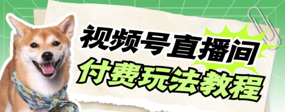 （7660期）视频号美女付费无人直播，轻松日入500+【详细玩法教程】(探索视频号美女付费无人直播的盈利之道)