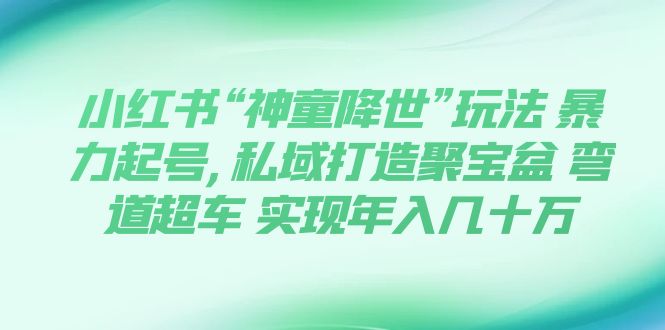 （7673期）小红书“神童降世”玩法 暴力起号,私域打造聚宝盆 弯道超车 实现年入几十万(《小红书“神童降世”玩法》暴力起号，私域打造聚宝盆，实现年入几十万)