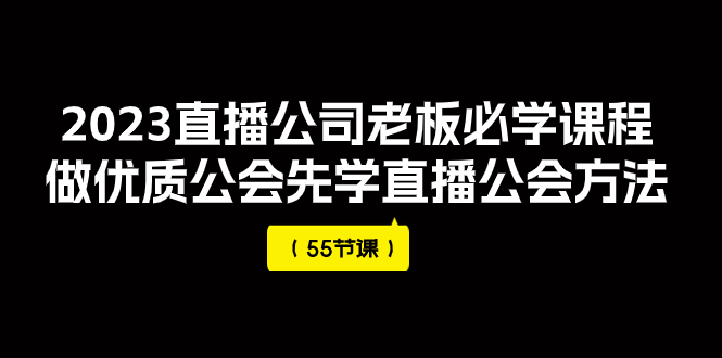 （7738期）2023直播公司老板必学课程，做优质公会先学直播公会方法（55节课）(全面解析直播公司运营策略与技巧)