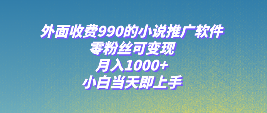 （8016期）小说推广软件，零粉丝可变现，月入1000+，小白当天即上手【附189G素材】(利用“爱推邦”小说推广软件，零粉丝也能轻松变现，月入1000+)