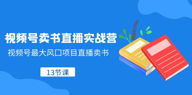 （8080期）视频号-卖书直播实战营，视频号最大风囗项目直播卖书（13节课）(全面解析视频号直播卖书实战技巧与策略)