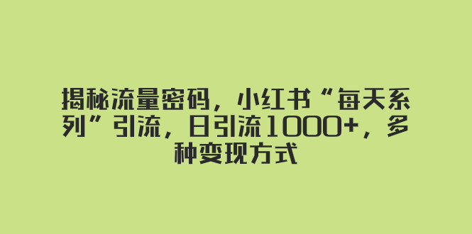 （8179期）揭秘流量密码，小红书“每天系列”引流，日引流1000+，多种变现方式(小红书爆款流量玩法揭秘极速引爆私域，每日引流1000+)