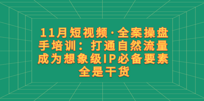 （8182期）11月短视频·全案操盘手培训：打通自然流量 成为想象级IP必备要素 全是干货(全面掌握短视频全案操盘手技能从IP打造到流量变现一站式学习)