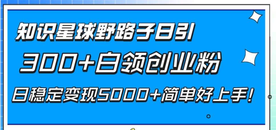 （8315期）知识星球野路子日引300+白领创业粉，日稳定变现5000+简单好上手！(\”知识星球引流与变现实现日稳定收入5000+的实战策略\”)