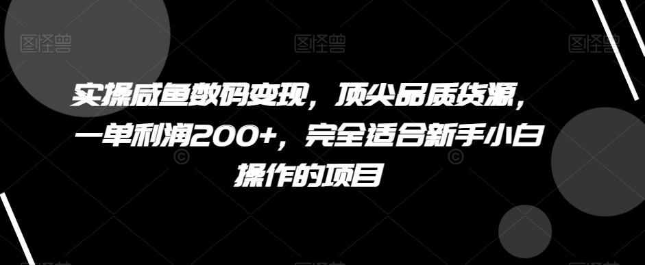 mp5493期-实操咸鱼数码变现，顶尖品质货源，一单利润200+，完全适合新手小白操作的项目【揭秘】(\”新手小白也能轻松上手的咸鱼数码变现指南\”)