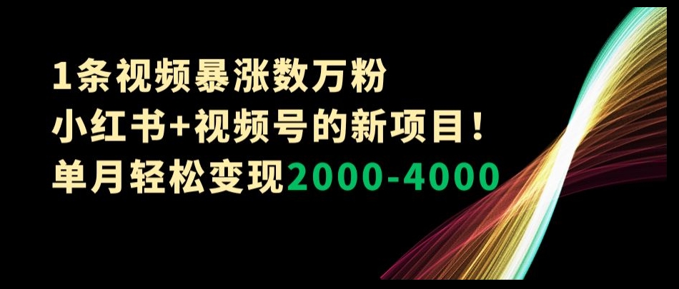 mp5498期-1条视频暴涨数万粉–小红书+视频号的新项目！单月轻松变现2000-4000【揭秘】(揭秘小红书+视频号新项目一条视频如何带来数万粉丝和丰厚收益)