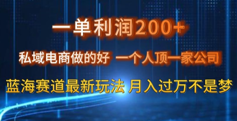 mp5668期-一单利润200私域电商做的好，一个人顶一家公司蓝海赛道最新玩法【揭秘】