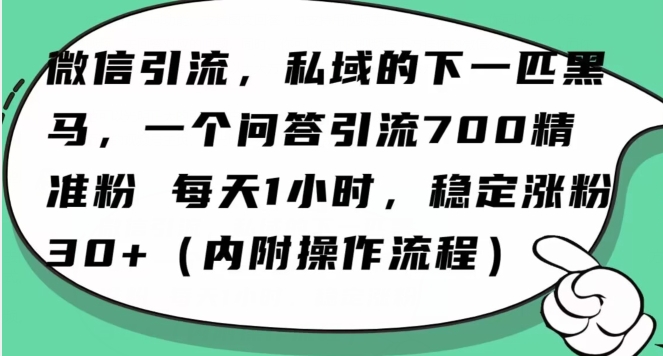 mp5688期-怎么搞精准创业粉？微信新赛道，每天一小时，利用Ai一个问答日引100精准粉