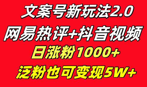 （8484期）文案号新玩法 网易热评+抖音文案 一天涨粉1000+ 多种变现模式 泛粉也可变现