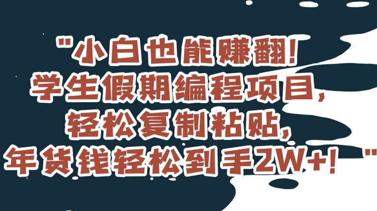 mp5725期-小白也能赚翻！学生假期编程项目，轻松复制粘贴，年货钱轻松到手2W+【揭秘】