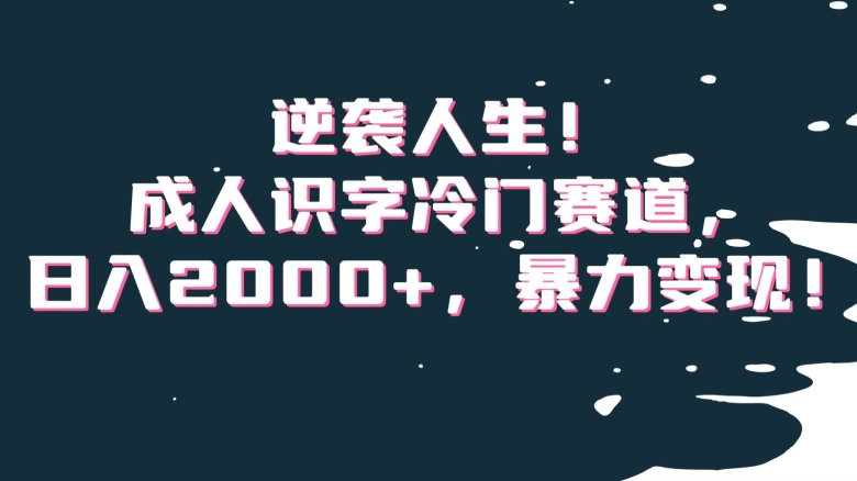 mp5726期-逆袭人生！成人识字冷门赛道，日入2000+，暴力变现！【揭秘】