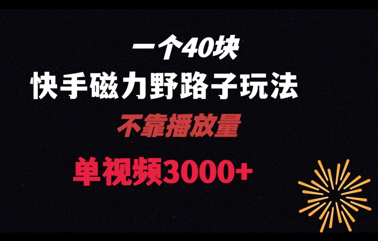 mp5888期-一个40块，快手联合美团磁力新玩法，无视机制野路子玩法，单视频收益4位数【揭秘】