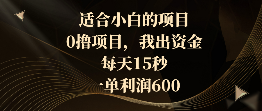 （8571期）适合小白的项目，0撸项目，我出资金，每天15秒，一单利润600