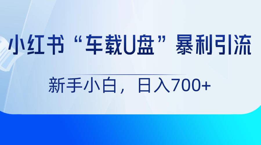 fy2505期-小红书“车载U盘”项目，暴利引流，新手小白轻松日入700+