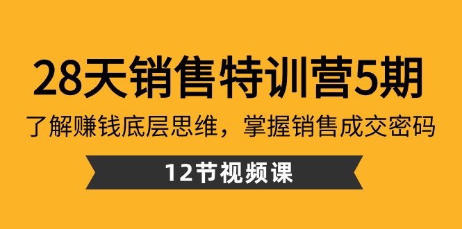 fy2524期-28天销售特训营5期：了解赚钱底层思维，掌握销售成交密码（12节课）