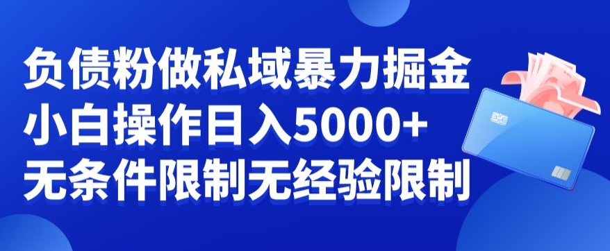 mp6011期-负债粉私域暴力掘金，小白操作入5000，无经验限制，无条件限制