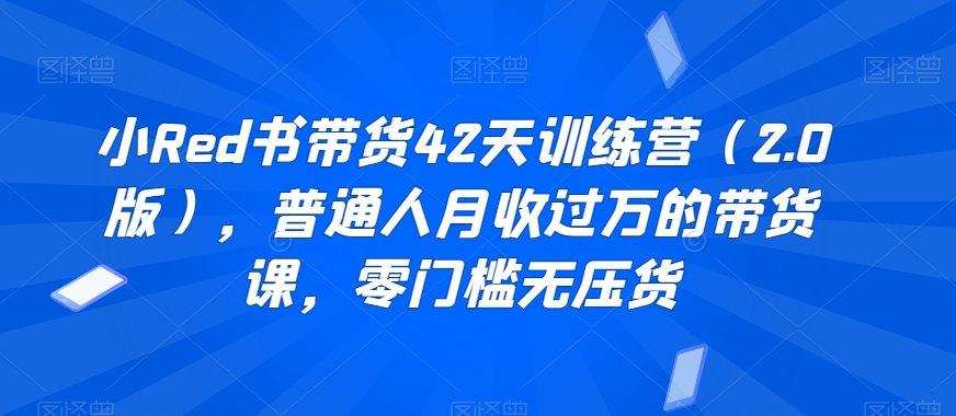 mp6144期-小Red书带货42天训练营（2.0版），普通人月收过万的带货课，零门槛无压货(小Red书带货42天训练营（2.0版）普通人的月入过万带货指南)