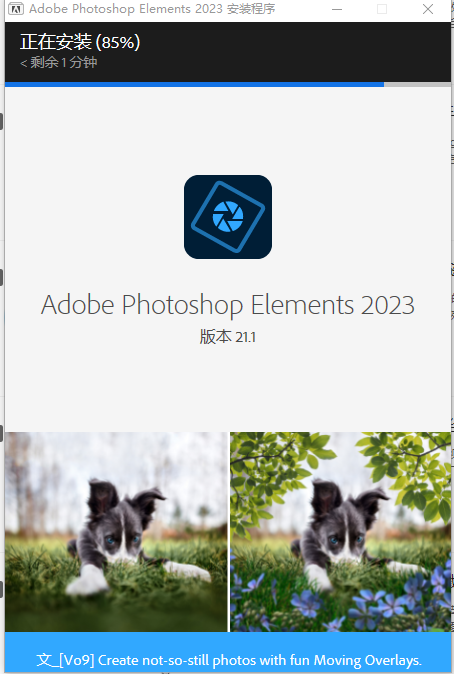 Adobe Photoshop Elements 解锁版 (PS简化版智能图像处理软件)