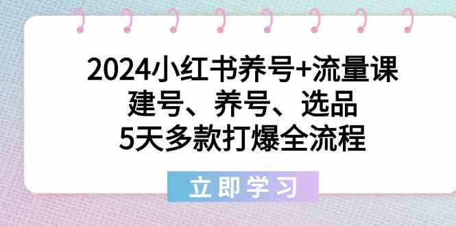 fy2693期-2024小红书养号+流量课：建号、养号、选品，5天多款打爆全流程